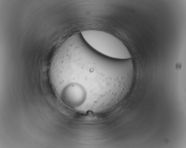 X0000113920366200909241335