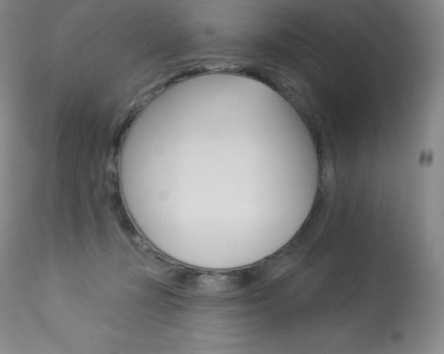 X0000113920367200909241335