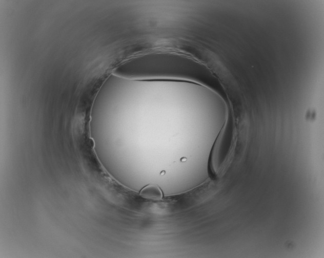 X0000113920368200909241335