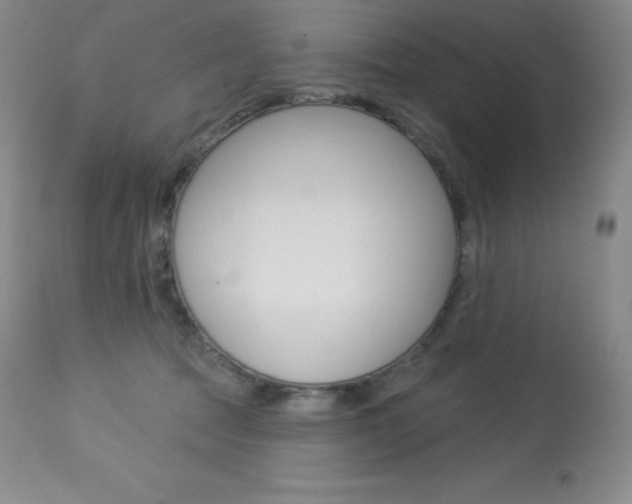 X0000113920369200909241335