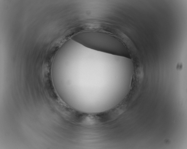 X0000113920372200909241335