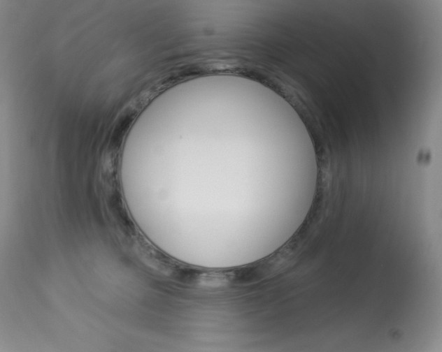 X0000113920373200909241335