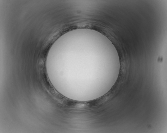 X0000113920375200909241335