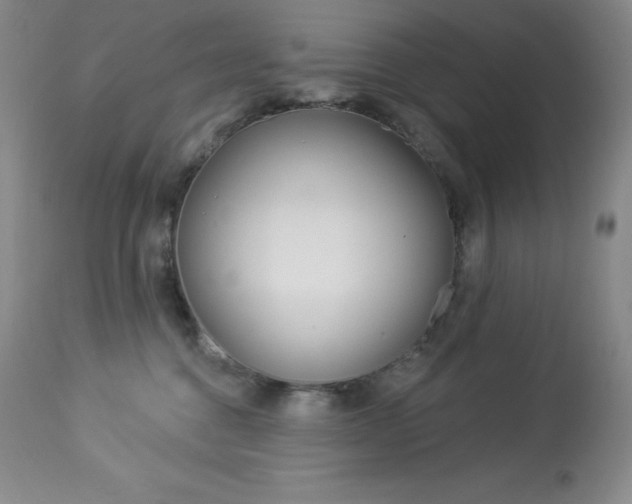 X0000113920376200909241335