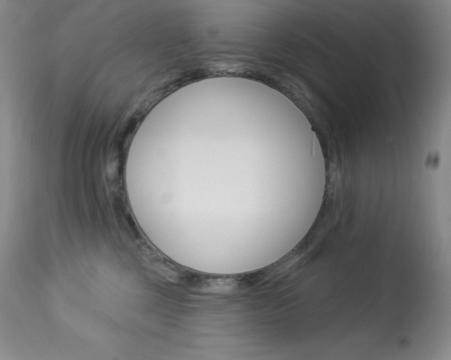 X0000113920377200909241335