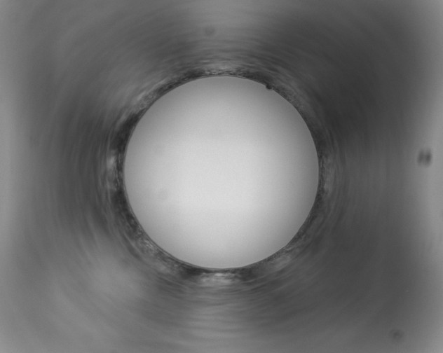 X0000113920378200909241335