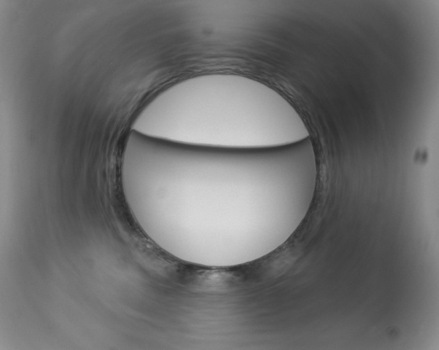 X0000113920379200909241335