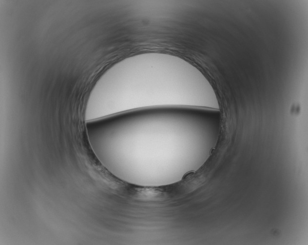 X0000113920380200909241335