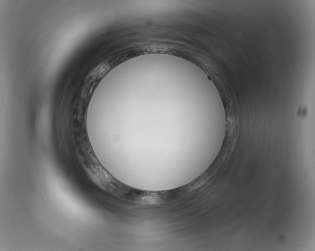 X0000113920381200909241335