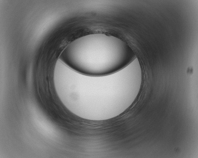 X0000113920382200909241335