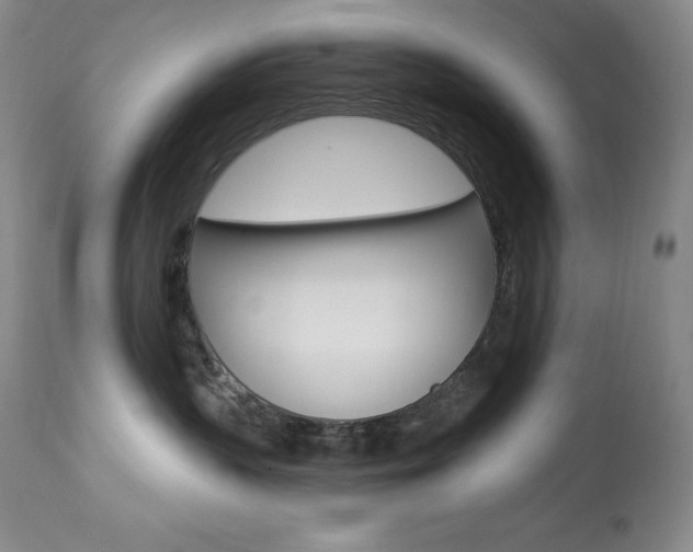 X0000113920383200909241335