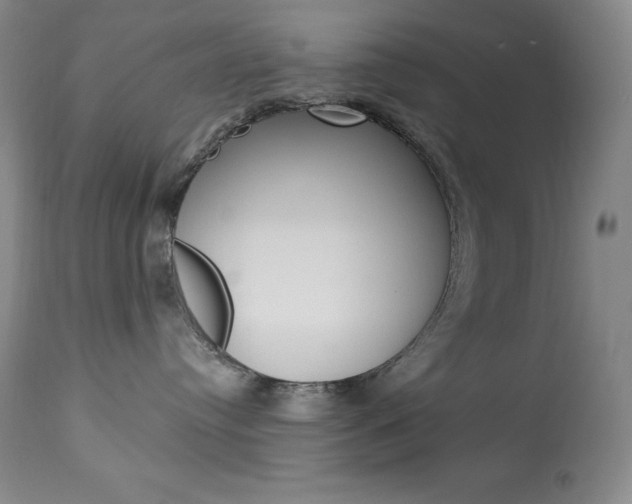 X0000113920384200909241335