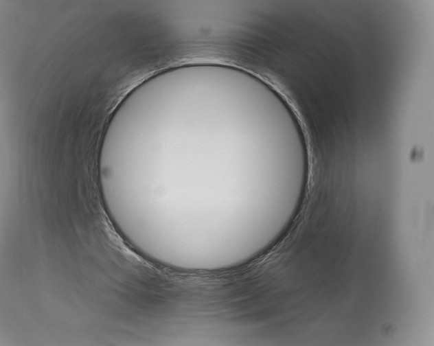 X0000113920385200909241334