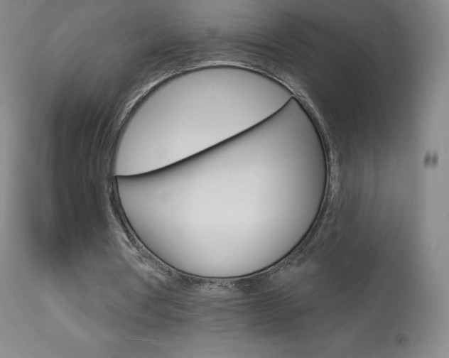 X0000113920386200909241334