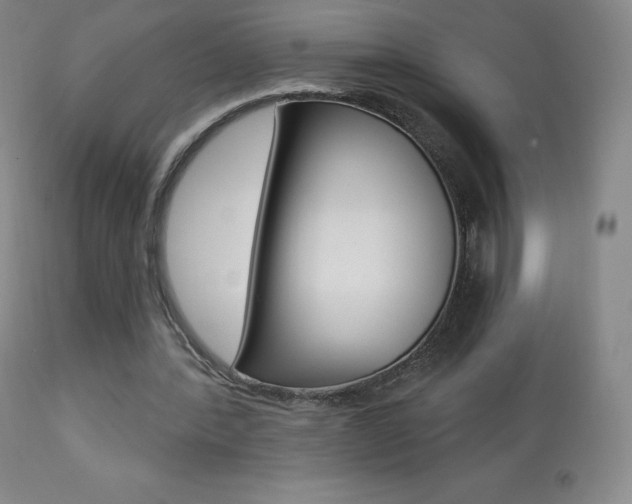 X0000113920388200909241334