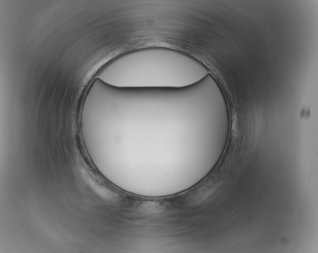 X0000113920390200909241334