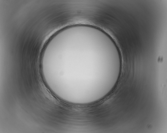 X0000113920391200909241334