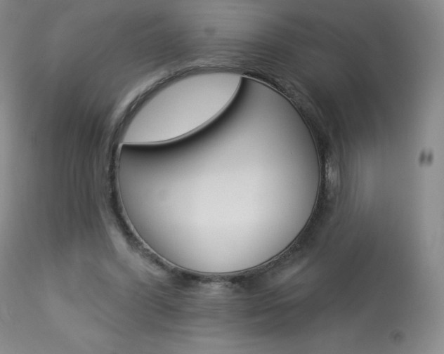 X0000113920396200909241334