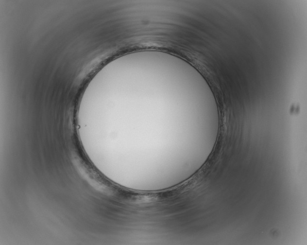 X0000113920398200909241334