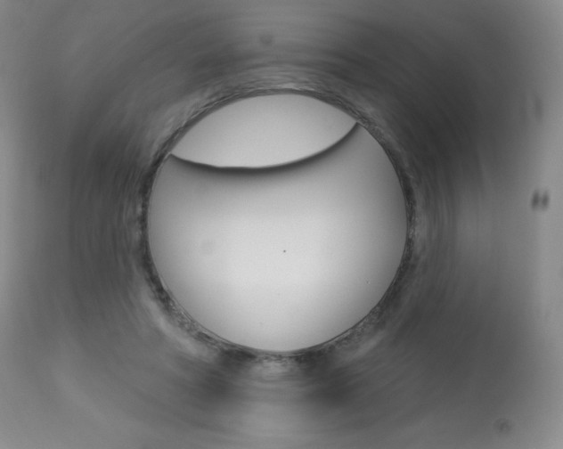 X0000113920402200909241334