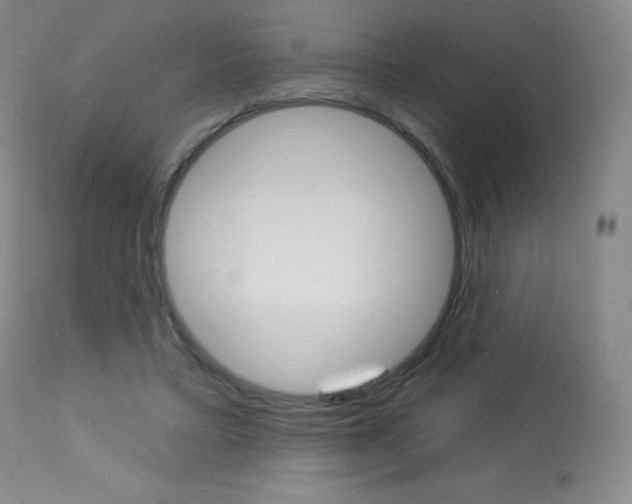 X0000113920403200909241334