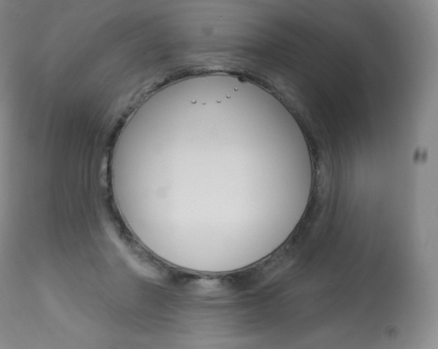 X0000113920406200909241334