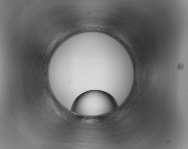 X0000113920407200909241334