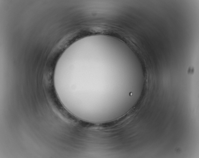 X0000113920408200909241334