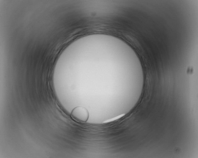 X0000113920409200909241334