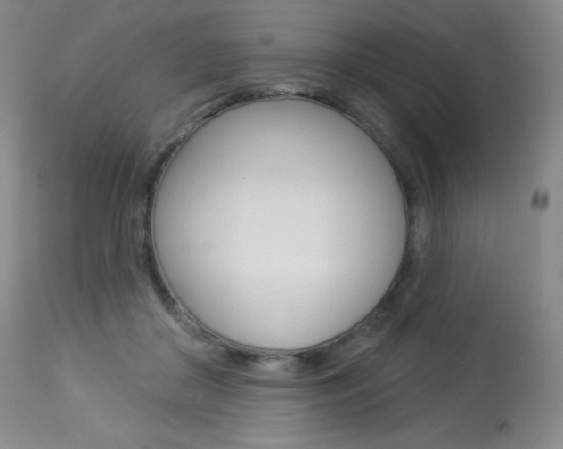 X0000113920410200909241334