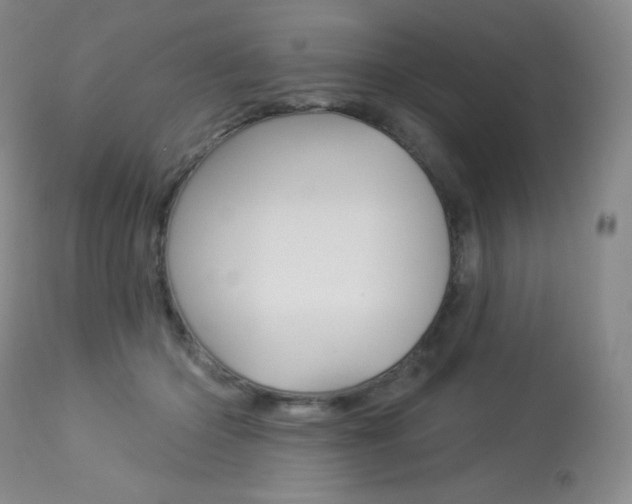 X0000113920414200909241334