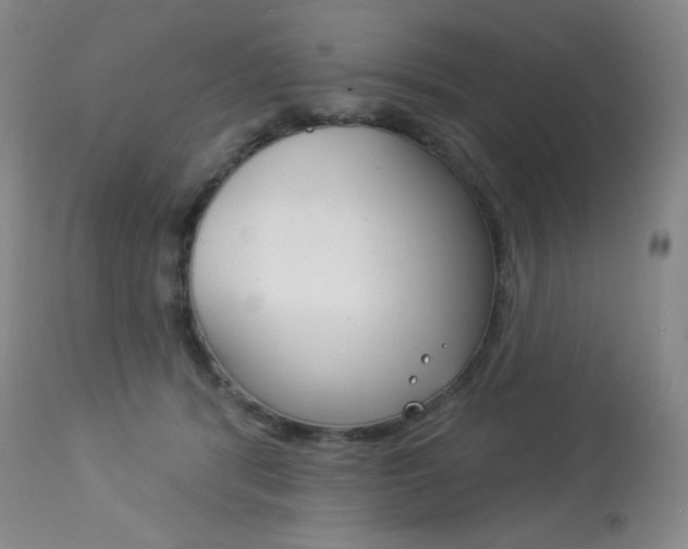 X0000113920416200909241334