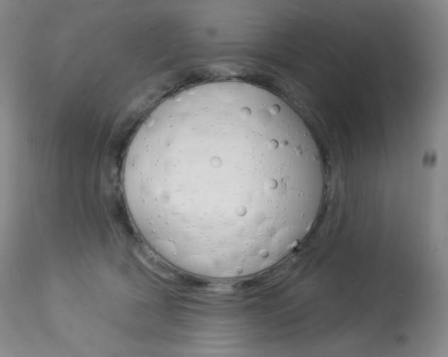 X0000113920418200909241334