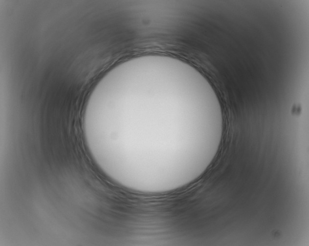 X0000113920419200909241334