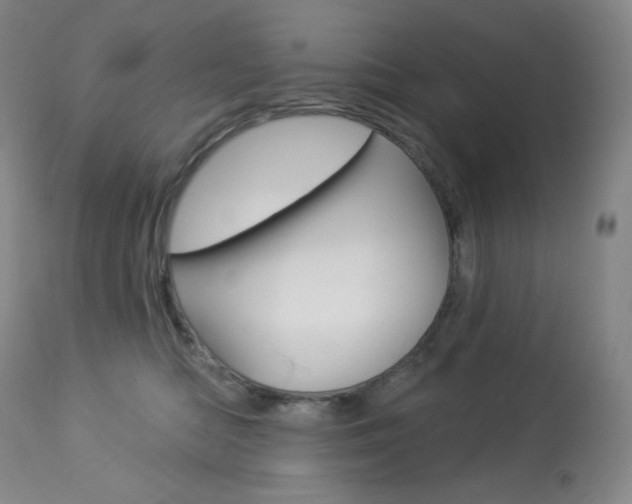 X0000113920422200909241334