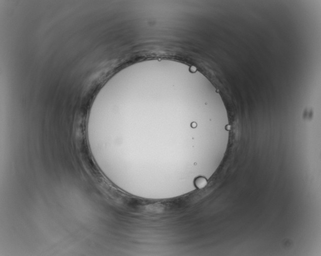 X0000113920423200909241334