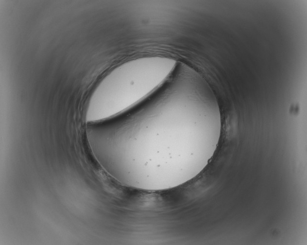 X0000113920424200909241334