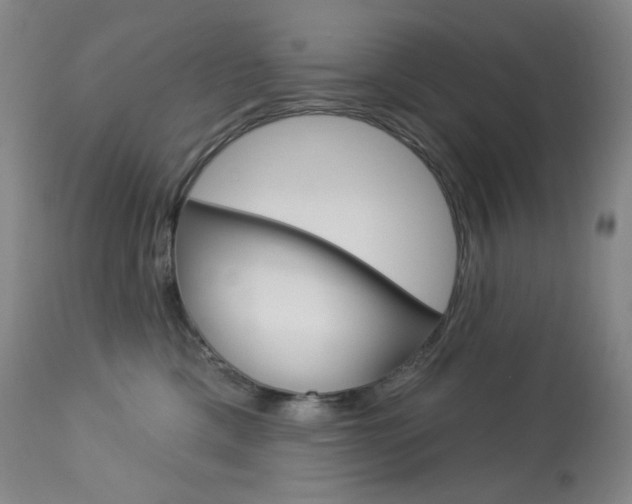 X0000113920425200909241334