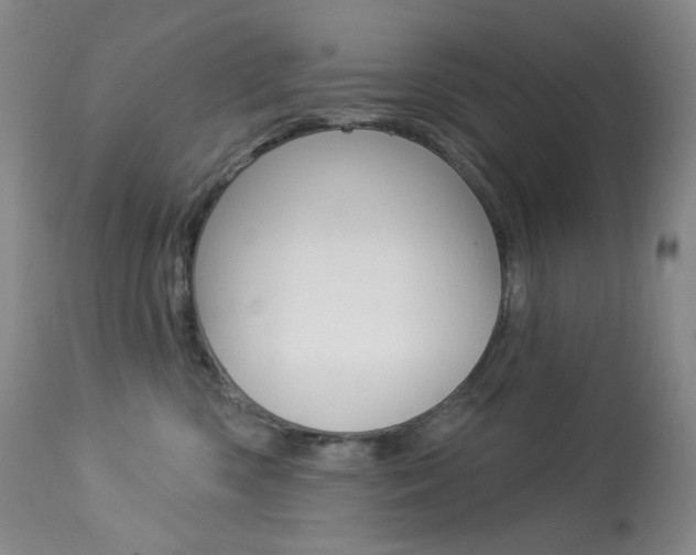 X0000113920426200909241333