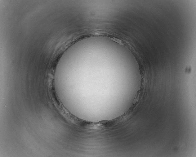 X0000113920427200909241333