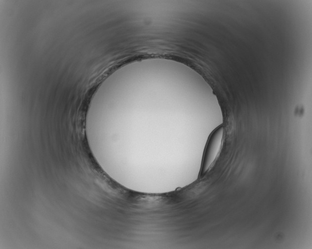 X0000113920428200909241333