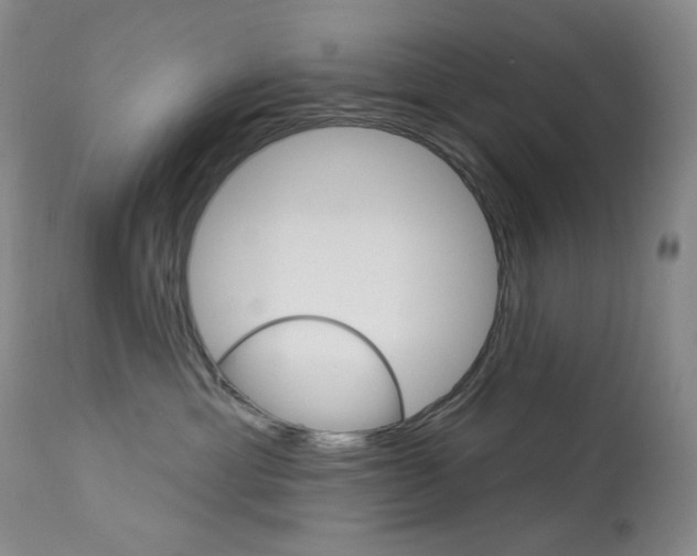 X0000113920429200909241333