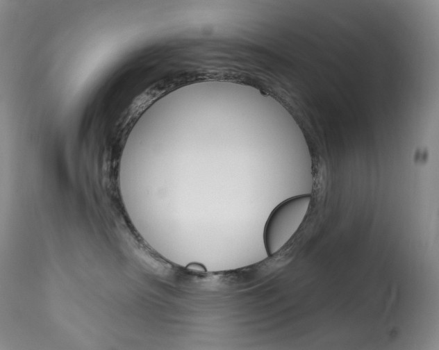 X0000113920430200909241333