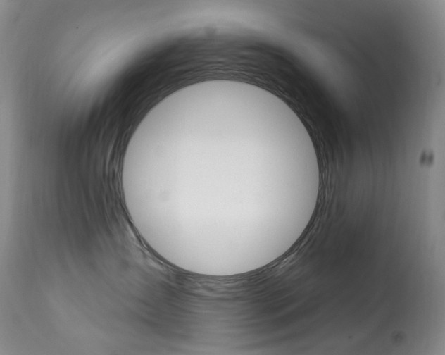 X0000113920431200909241333