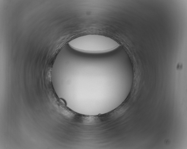 X0000113920432200909241333