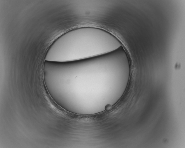 X0000113920433200909241333