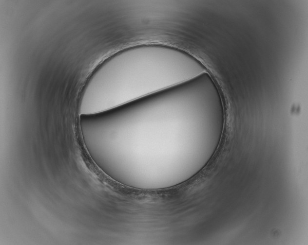 X0000113920434200909241333