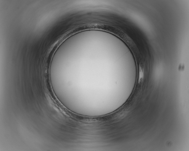 X0000113920435200909241333