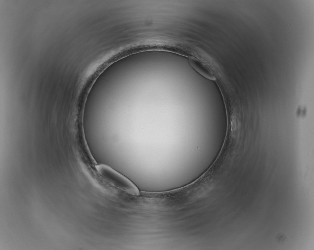 X0000113920436200909241333