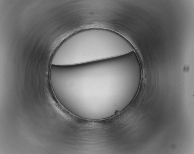 X0000113920437200909241333